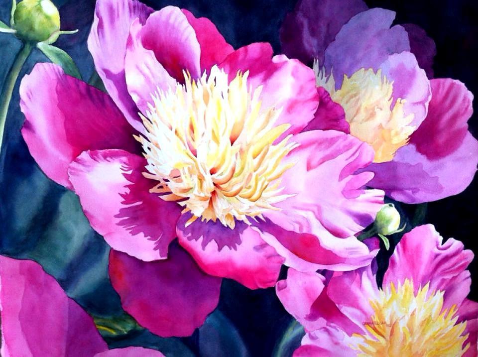 Intro to Watercolor – Summer Camp