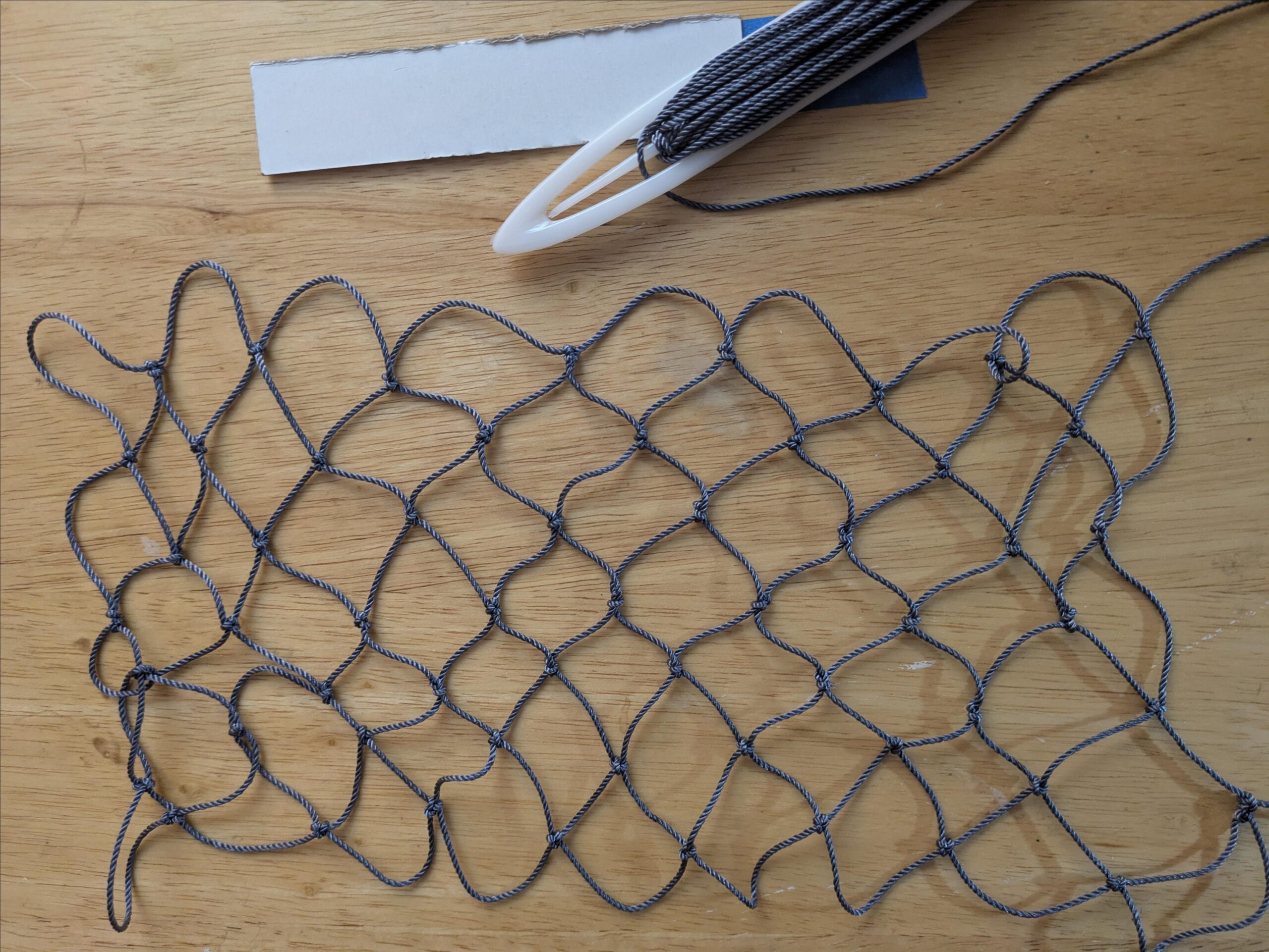 Catch a Break! Learn Netting! – Summer Camp